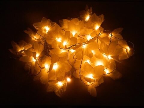 tu casa DW-217-11 Daffodil Flower String Light (White/Yellow)