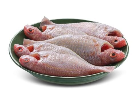 FreshToHome Pink Perch/Kilimeen/Sankara Meen (Medium) | Whole Cleaned | 440g to 500g Pack | Fresh | Never Frozen