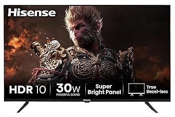 Hisense 108 cm (43 inches) E43N Series Full HD Smart Google LED TV 43E43N (Black)