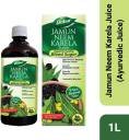 Dabur Jamun Neem Karela Juice – 1L