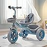 Cockatoo Star-Cruise Tricycle for Kids 2-5 Years, Kids Cycle for 2-5 Years with Printed Parental Control Handle, Baby Cycle Colour- Sea Green